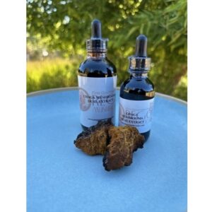 Chaga Tincture-Extract