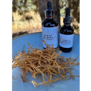 Cordycep Tincture-Extract