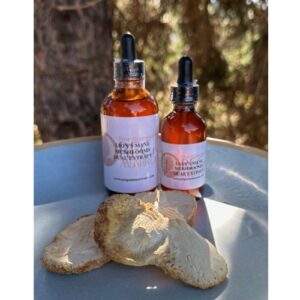 Lions Mane Mushroom Tincture Extract