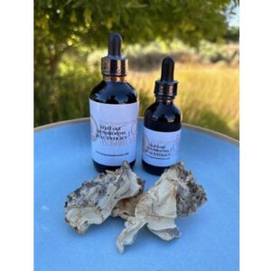 Maitake Tincture-Extract