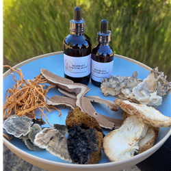 Mushroom Tincture Extract Blend 6 types