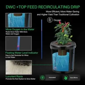 hydroponics dwc top feed bucket system