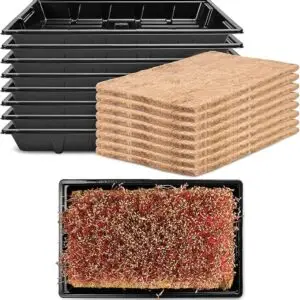 Pack 8 Seed Sprouter Tray with Plant Hemp Fiber